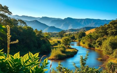 Guia definitivo sobre regularização de imóveis em áreas de proteção ambiental em MG